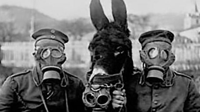 La Grande Guerra